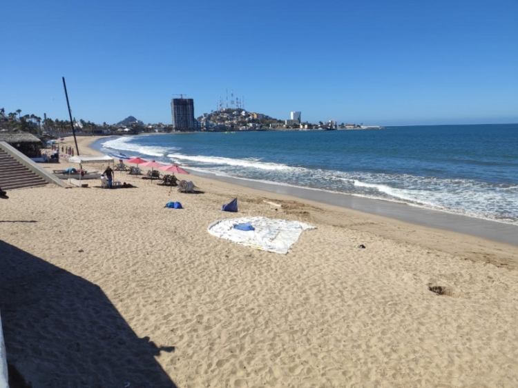 Se incrementan los casos de piquetes de mantarrayas en las playas mazatlecas