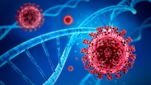 Sin concluir el estudio de nueva cepa de coronavirus detectada en Jalisco, buscan descubrir su genoma