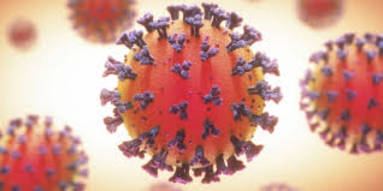 Se cumple un año desde que la OMS declaró al Covid-19 como pandemia