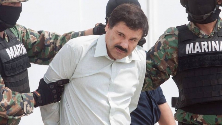 Hunden al &quot;Chapo&quot; Guzmán: tribunal rechaza apelación y confirma cadena perpetua