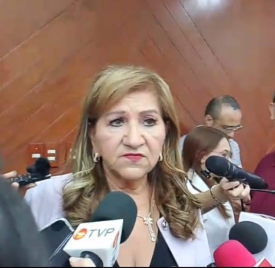 Pese a discrepancias del PRI y PAN, la reforma electoral la resolver&aacute; el Congreso de la Uni&oacute;n: Diputada local Tere Guerra
