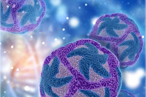 Desarrollan t&eacute;cnica avanzada que permite observar en vivo una infecci&oacute;n por virus