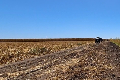 En estado cadavérico localizan a una mujer en un campo agricola de Villa Juárez, Navolato