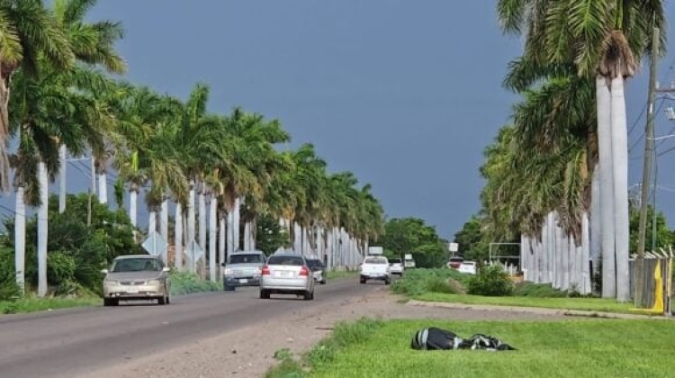 RESUMEN: 5 personas asesinadas, una &#039;levantada&#039; y 2 autos robados en Sinaloa, el saldo rojo del 13 Julio 2025