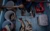&iquest;Est&aacute;s listo? Ma&ntilde;ana inicia temporada de pesca en costas de M&eacute;xico