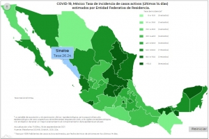 M&eacute;xico report&oacute; 11 mil 711 casos de contagios del virus de Covid-19