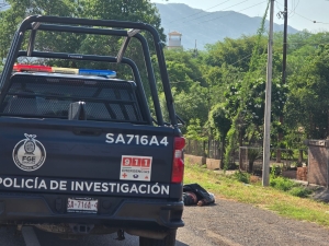 Resumen: Una persona asesinada, ocho veh&iacute;culos robados y dos personas desaparecidas: Fiscal&iacute;a