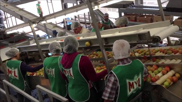 Patrones de Sinaloa no est&aacute;n preparados para reducir la jornada laboral a 7 horas: Rocha Moya