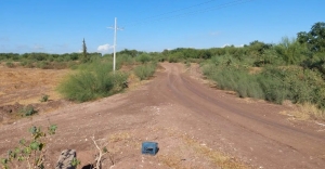En Costa Rica, Culiac&aacute;n, localizan a hombre asesinado; envuelto en pl&aacute;stico, encobijado y encintado