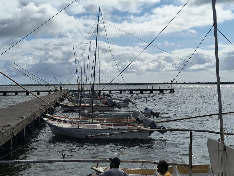 "El agua se nos subi&oacute; hasta ac&aacute; (muelle)": Pescadores de Altata, en alerta por marejada y llegada de 'Rachel'