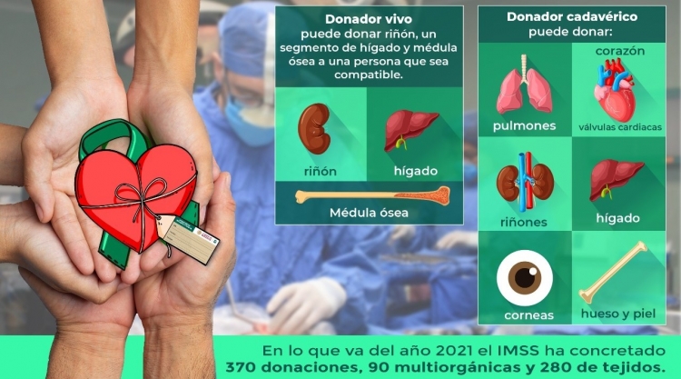 Realiza el IMSS el 46 por ciento de los trasplantes en México