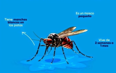 Sinaloa ocupa la posici&oacute;n 10 en casos de dengue a nivel nacional
