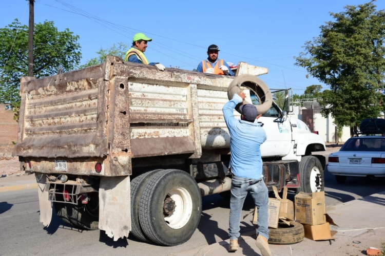 Más de 25 toneladas de cacharros se han recolectado en el programa de descacharrización