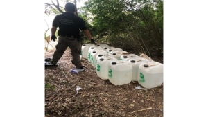FGR aseguró predio utilizado presuntamente para la elaboración de sustancias químicas en el poblado Ejido Sección Alhuate, en Culiacán