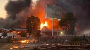 Convertidos en cenizas los archivos del desfalco de 20 mil millones de pesos en Segalmex