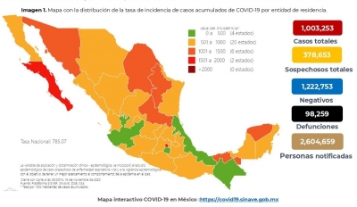 Al 14 de noviembre de 2020 hay 1,003,253 casos confirmados y 98,259 defunciones por COVID-19
