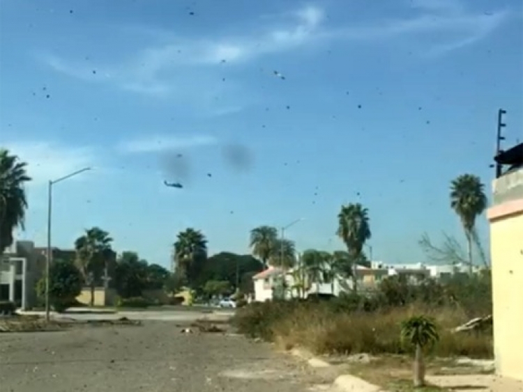 Detienen a sobrino de Caro Quintero en Culiac&aacute;n