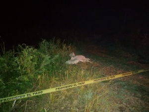 Muere adulto mayor cuando circulaba en su motocicleta cerca de la Laguna de Canachi