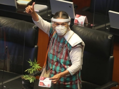 El Senado aprob&oacute; la legalizaci&oacute;n de la marihuana 