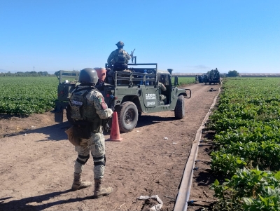 Lo asesinan de varios disparos en la espalda, en los cultivos del 'Campo Paralelo 38', en Costa Rica, Culiac&aacute;n