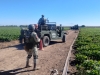 Lo asesinan de varios disparos en la espalda, en los cultivos del 'Campo Paralelo 38', en Costa Rica, Culiac&aacute;n