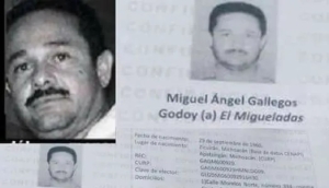 Los gobiernos de AMLO y Sheinbaum otorgaron permisos de exportaci&oacute;n de "El Migueladas", uno de los criminales m&aacute;s buscados