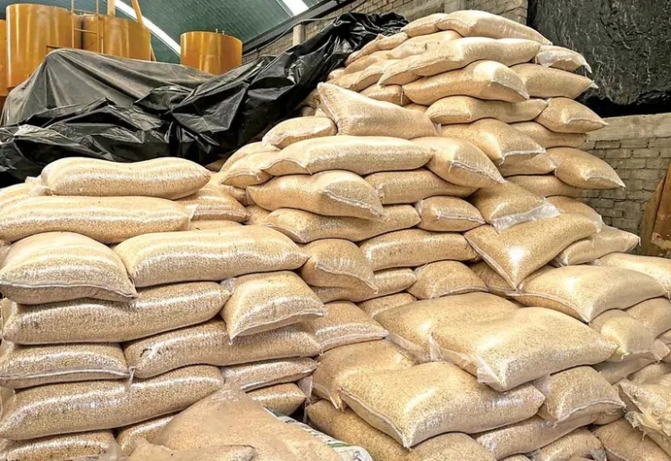 Ma&iacute;z mexicano cae en picada por importaci&oacute;n
