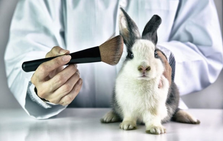 Ya no se podr&aacute; experimentar en animales para productos cosm&eacute;ticos
