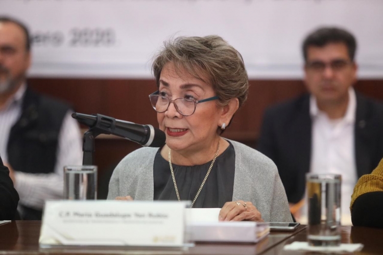 Diputados le reprochan a Guadalupe Yan Rubio por el caso Armando Villarreal