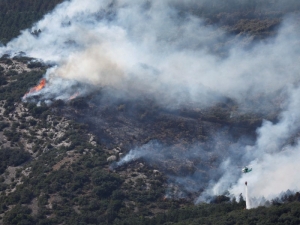 España combate incendios forestales bajo ola de calor