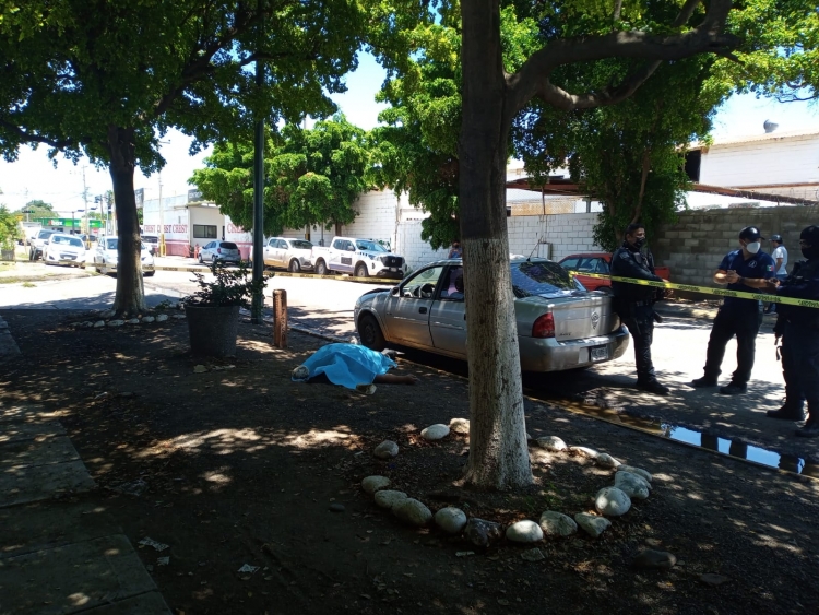 Automovilista muere picoteado por abejas, en Culiac&aacute;n
