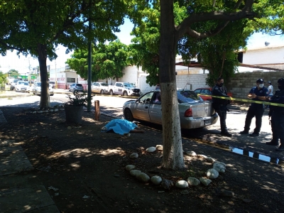 Automovilista muere picoteado por abejas, en Culiac&aacute;n
