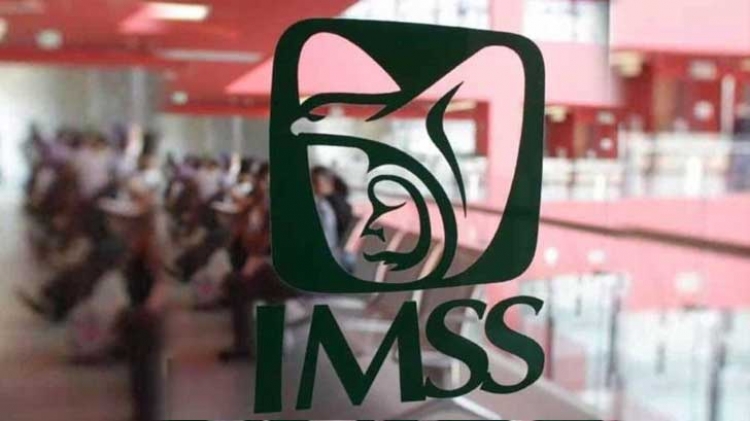 Registro de nuevos patrones afiliados al IMSS cae un 18.5%