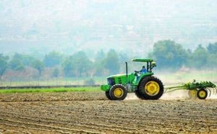Se perder&aacute;n 4 millones de toneladas de granos por falta de agua