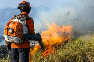 Brasil decreta estado de emergencia en el Pantanal por incendios forestales