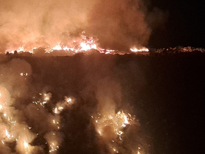 Incendio en El Basur&oacute;n clandestino del Piggy Pig provoca movilizaci&oacute;n de Bomberos