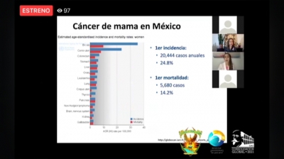 1 de cada 8 mujeres desarrollar&aacute; c&aacute;ncer de mama