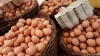 Se dispara el contrabando de huevos de México hacia Estados Unidos: allá una docena cuesta $152 pesos