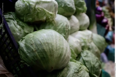 Descartan brote de Cyclospora en M&eacute;xico tras revisi&oacute;n sanitaria