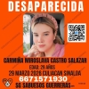 Levantan a creadora de contenido en redes sociales en el fraccionamiento Pradera Dorada en Culiac&aacute;n