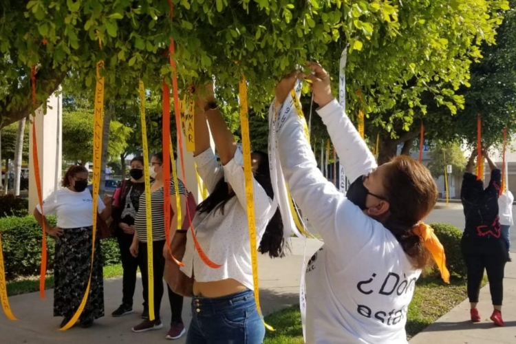 Retoman Sabuesos Guerreras el &Aacute;rbol de la Espera