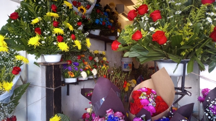 Ventas del 80 por ciento esperan floristas con clases presenciales y Día de Muertos