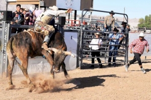 Desaf&iacute;an al COVID con jaripeos clandestinos en Oaxaca