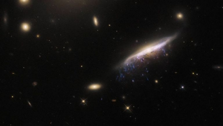 NASA captura a inmensa &#039;medusa galáctica&#039; que está a 800 millones de años luz de distancia