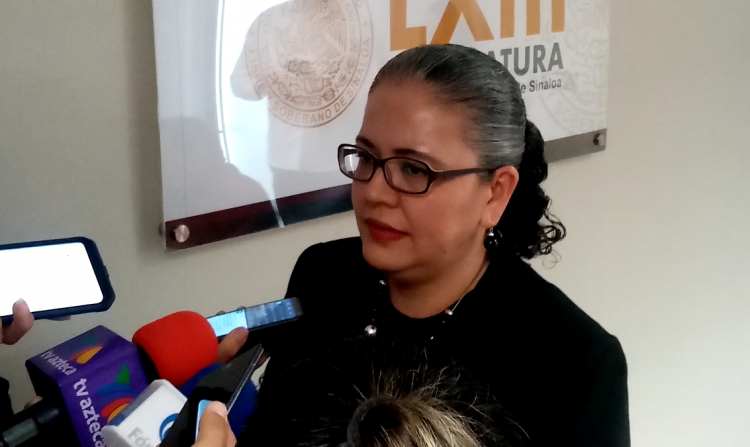 Falta ahora el aval de diputados, Ayuntamientos y gobernador para municipalizar Eldorado