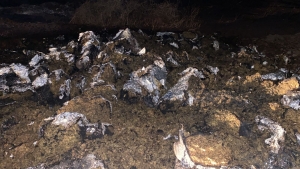 Queman cargamento de mariguana en inmediaciones de Alturas del Sur, Culiac&aacute;n