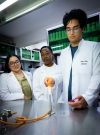 La medicina no tiene fronteras! Estudiantes de Canad&aacute; y Brasil viven la experiencia de la investigaci&oacute;n en la UAS