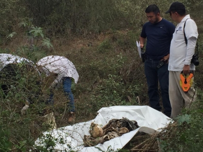 Encuentran esqueleto en un monte al Sur de la Ciudad