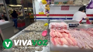 Suben entre 10 y 15 pesos el precio de pescado y mariscos el Mercado Garmendia