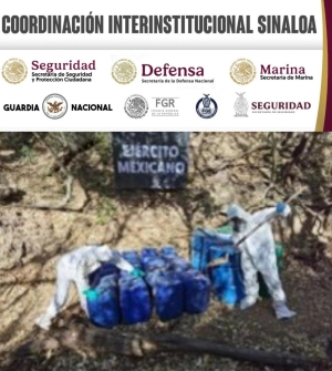 Aseguran fuerzas federales 12 laboratorios clandestinos en Culiac&aacute;n y Cosal&aacute;